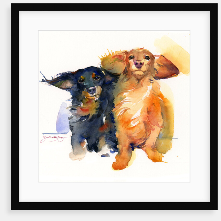 Dachshund Duo, 2014 by John Keeling