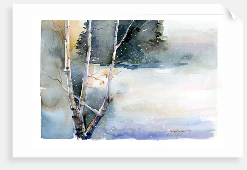 Birch in Winter, 2015 by John Keeling