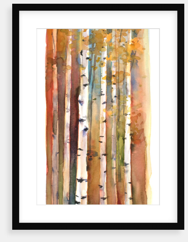 Birches in Autumn, 2013 by John Keeling
