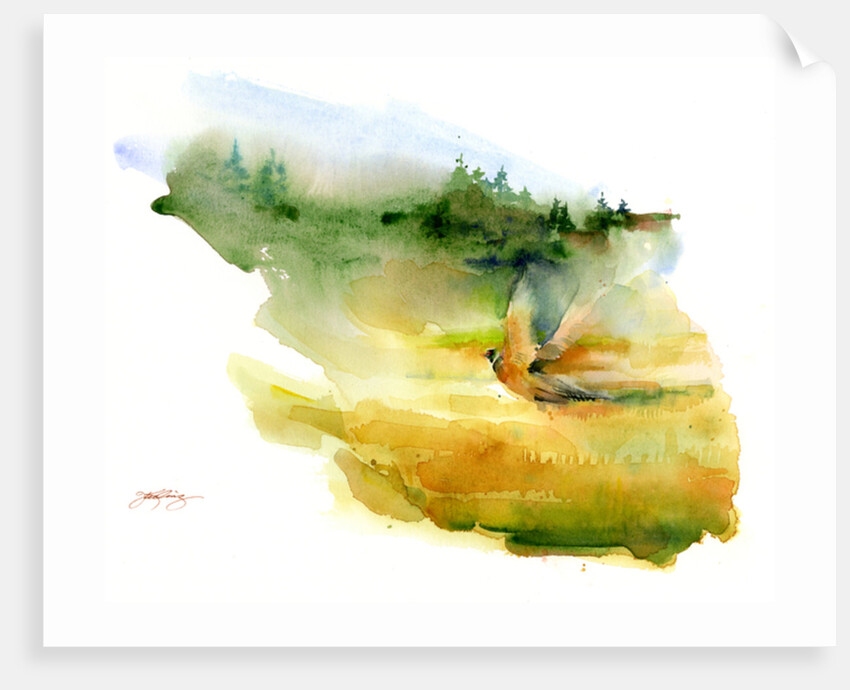 Pheasant in flight, 2015 by John Keeling