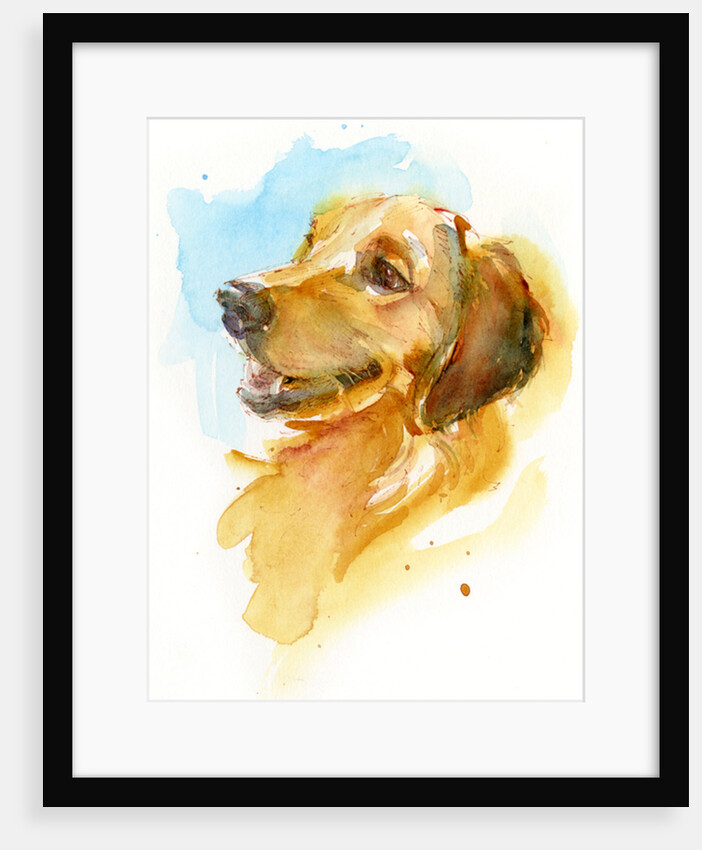 Golden Retriever, 2017 by John Keeling