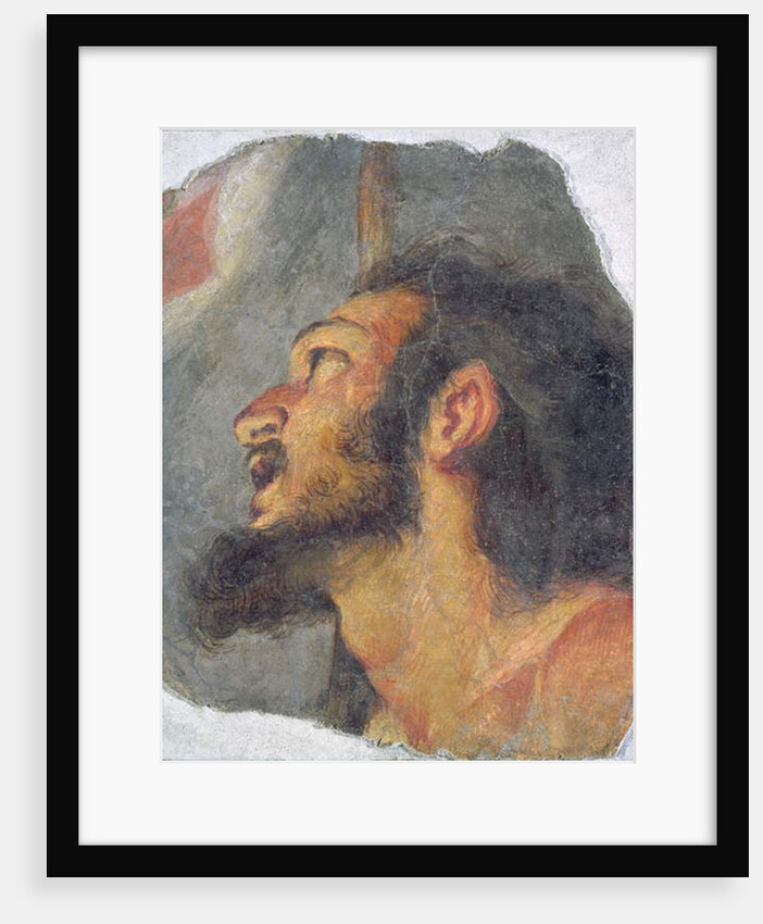 The Head of St. John the Baptist, fragment from a fresco by Bernardo Strozzi