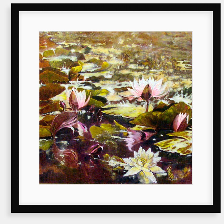 Lilies in Melbourne gardens, 2012 by Mary Smith