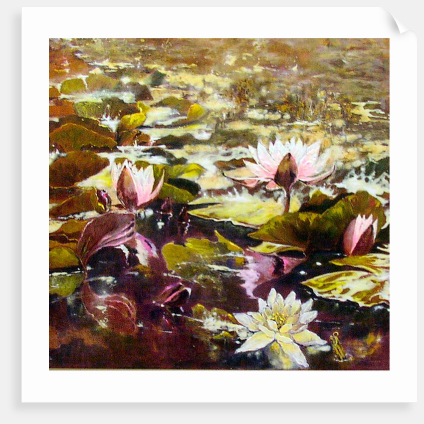 Lilies in Melbourne gardens, 2012 by Mary Smith