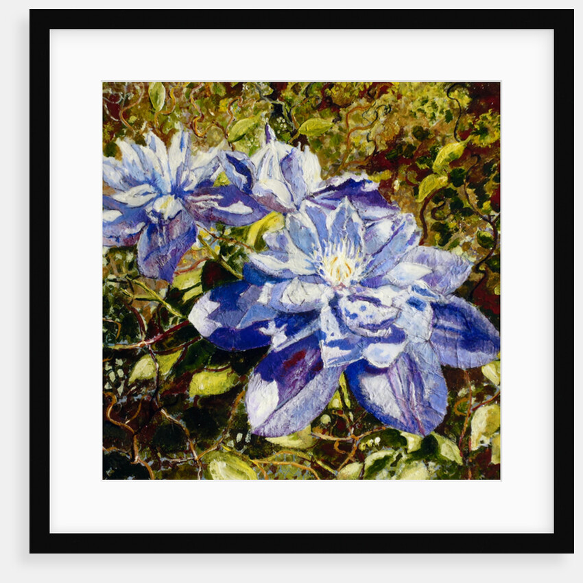 Clematis, 2015 by Mary Smith