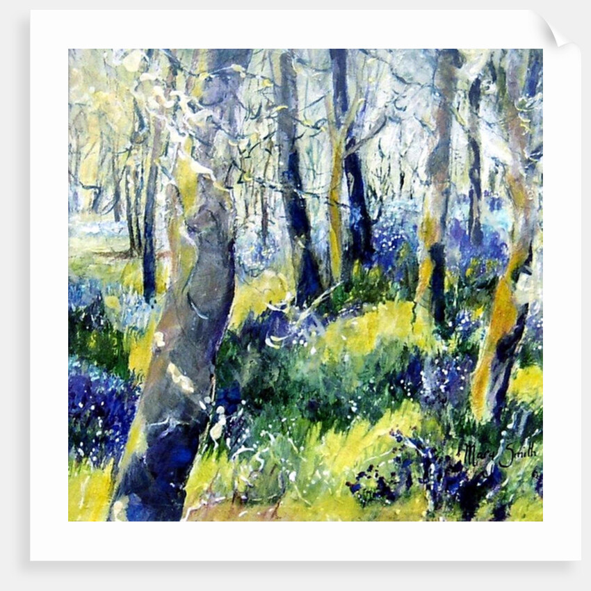 Bluebells and Yellow, 2011 by Mary Smith