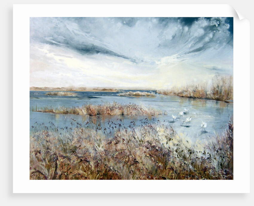 Norfolk breezes, 2006 by Mary Smith