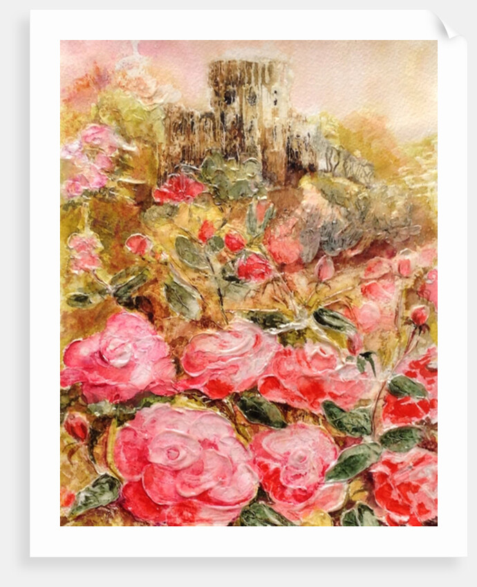 Roses in Windsor gardens, 2016 by Mary Smith