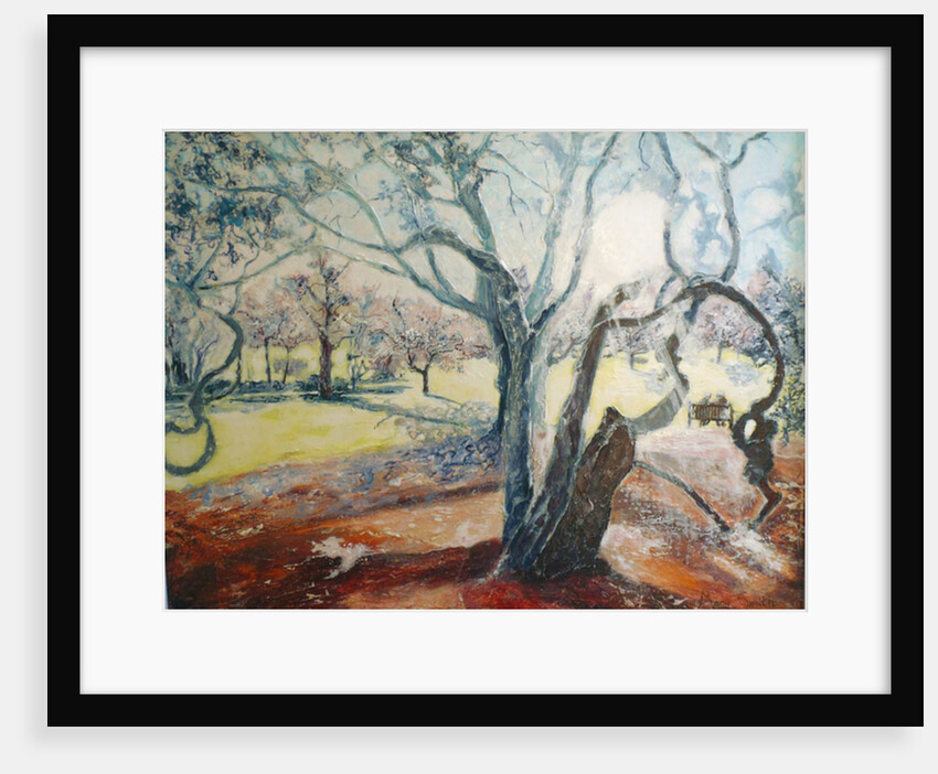 Spring in Darley Park, 2015 by Mary Smith