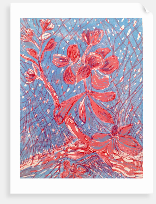 Almond blossom by Mary Smith