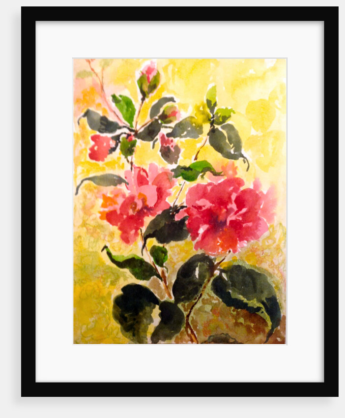 Camelias, 2017 by Mary Smith