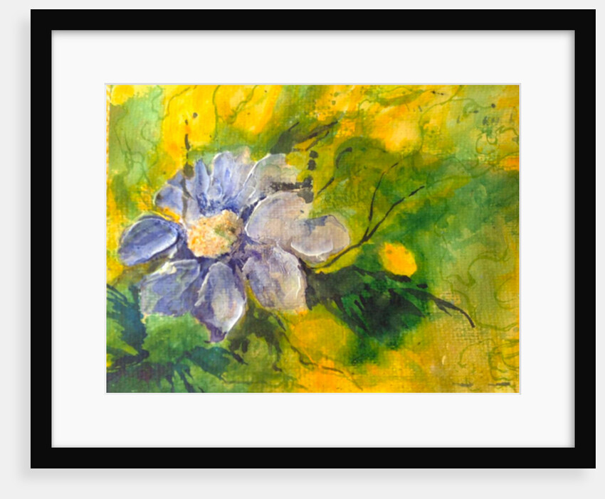 clematis in the evening sun, 2017 by Mary Smith