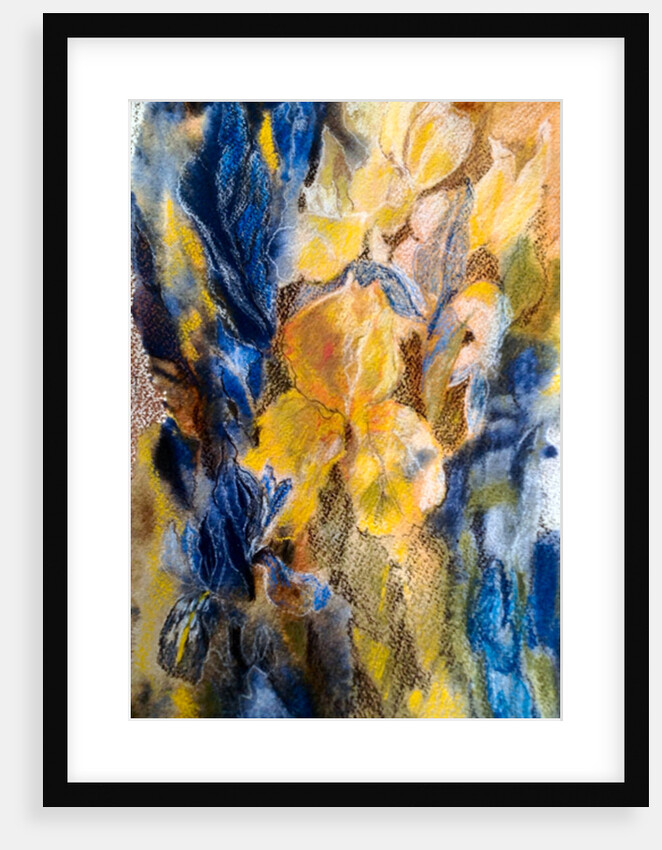 gold and blue iris, 2017 by Mary Smith