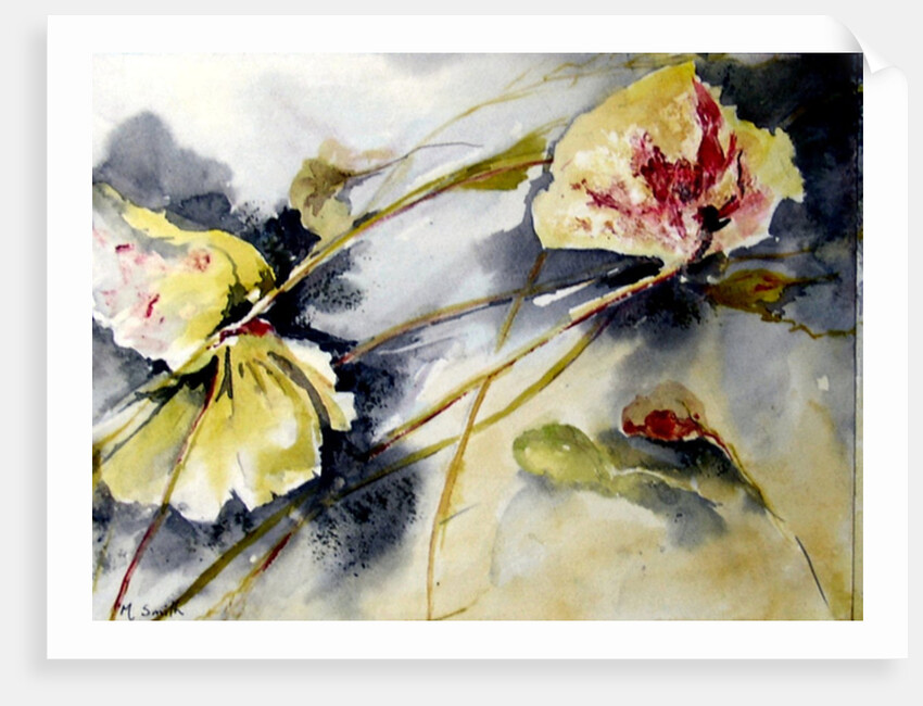 lily leaves drifting, 2017 by Mary Smith