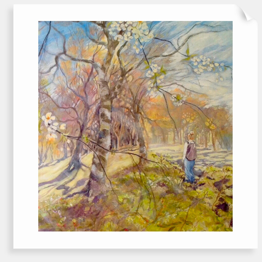 Spring walk under the blossoms, 2017 by Mary Smith