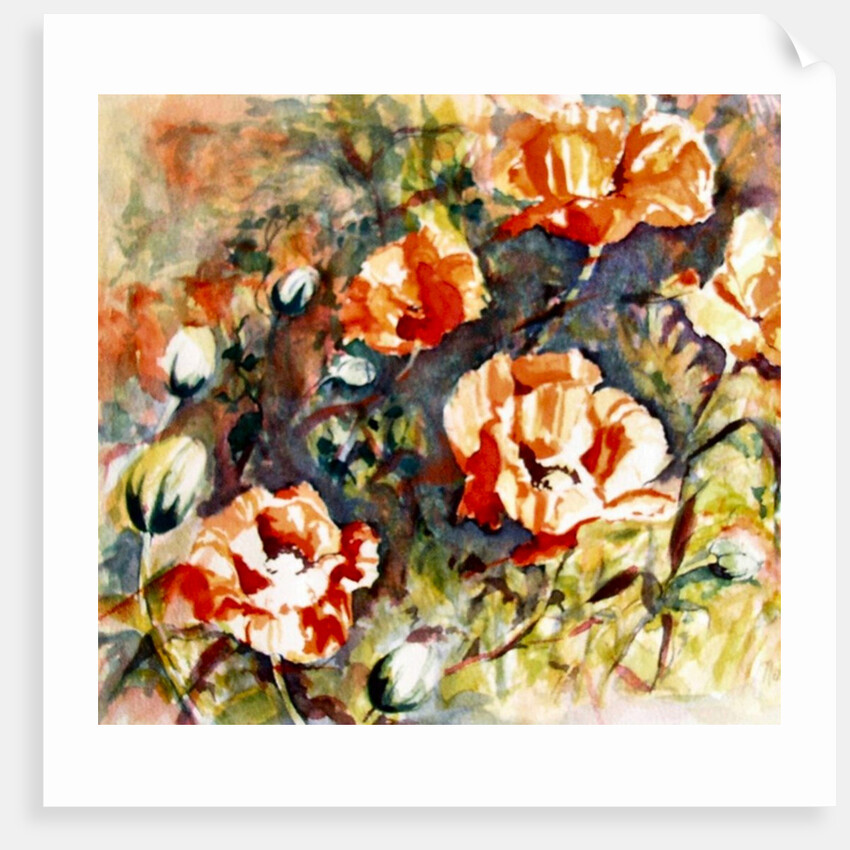 Poppies in the border, 2017 by Mary Smith