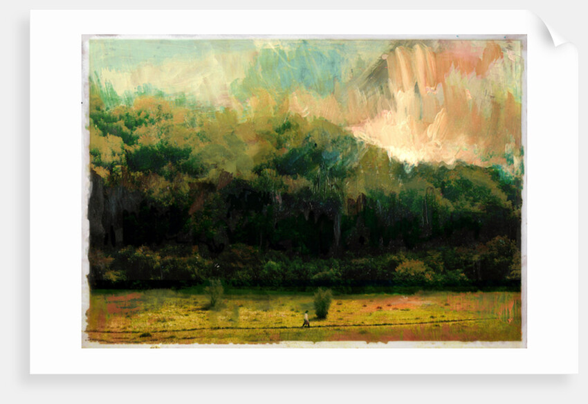 Oakridge Woods 2015 by David McConochie