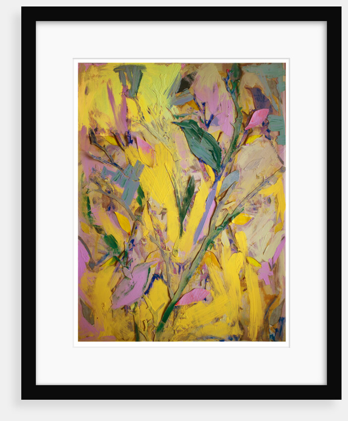 Starlings, 2017 by David McConochie