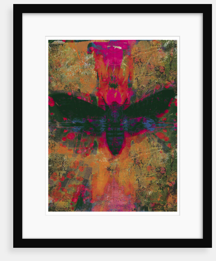 Death Moth Collage, 2016 by David McConochie