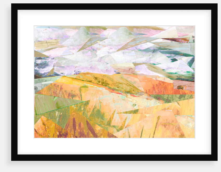 Summer Fields, 2017 by David McConochie