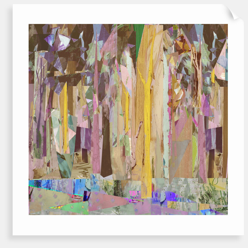 Copse/Fragments, 2017 by David McConochie