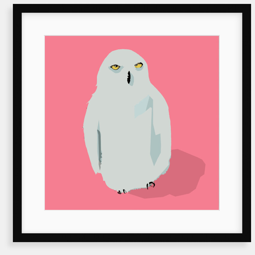 Owl, 2017 by Thomas MacGregor