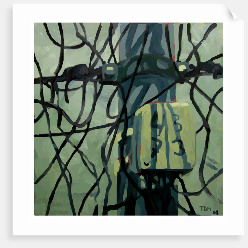 Alambres, 2009 by Thomas MacGregor