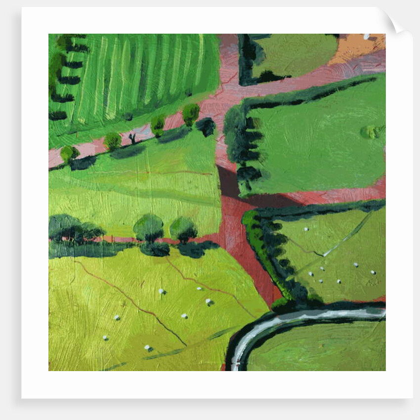 View over Safron Walden or Thaxted, 2017 by Thomas MacGregor