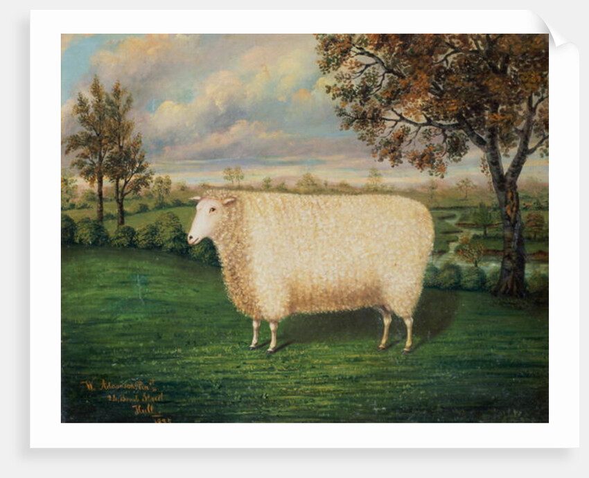 A Prize Sheep of the Old Lincoln Breed, 1835 by W. Adamson