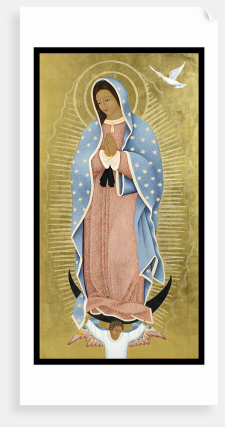 La Paloma Blanca, 2013 by Jodi Simmons