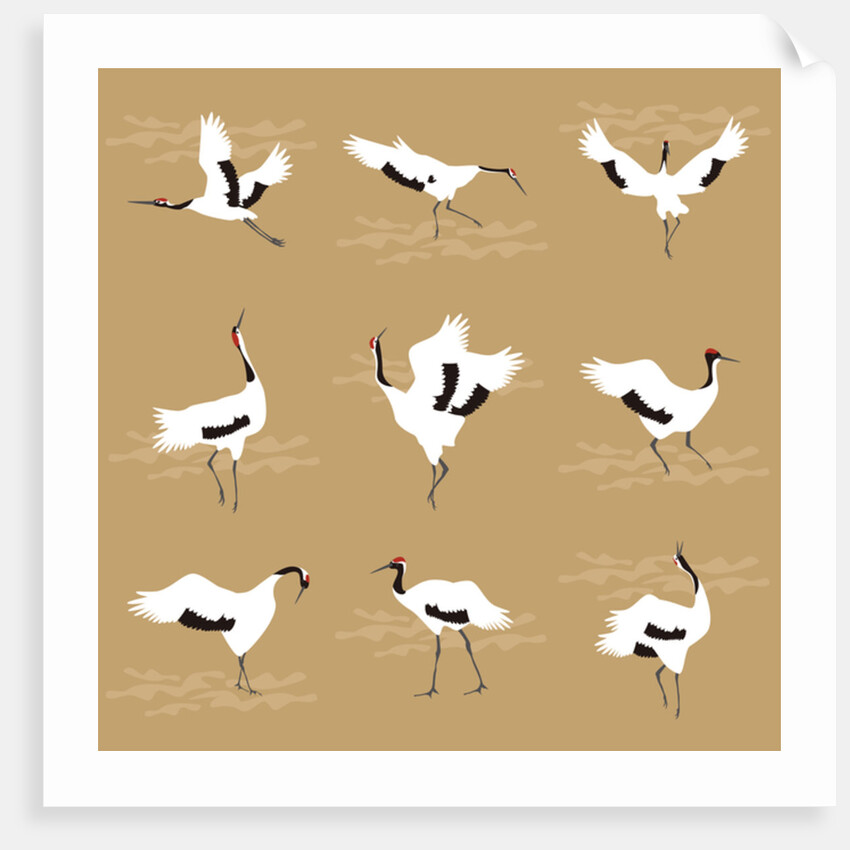 Oriental Cranes, 2017 by Claire Huntley