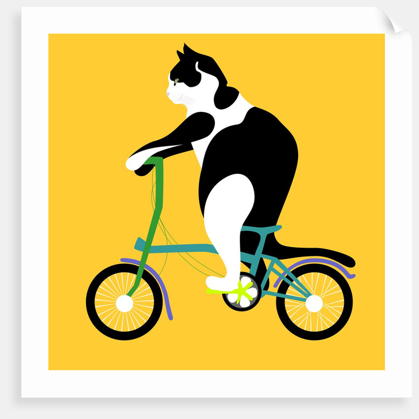 Cat on a Brompton Bike, 2017 by Claire Huntley