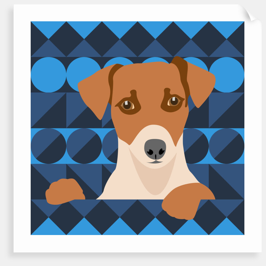 Aztec Dog, 2017 by Claire Huntley