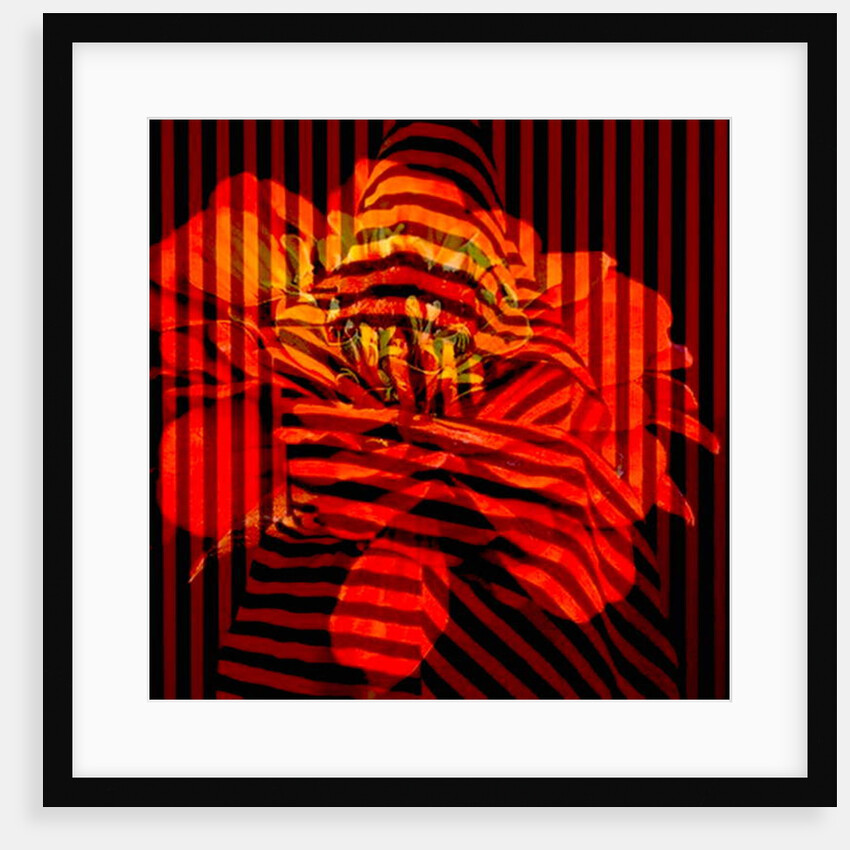 Flower Collage, 2017 by Linda Arthurs