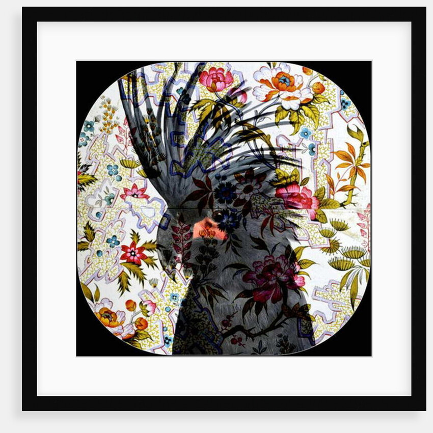 Black Parrot, 2017 by Linda Arthurs