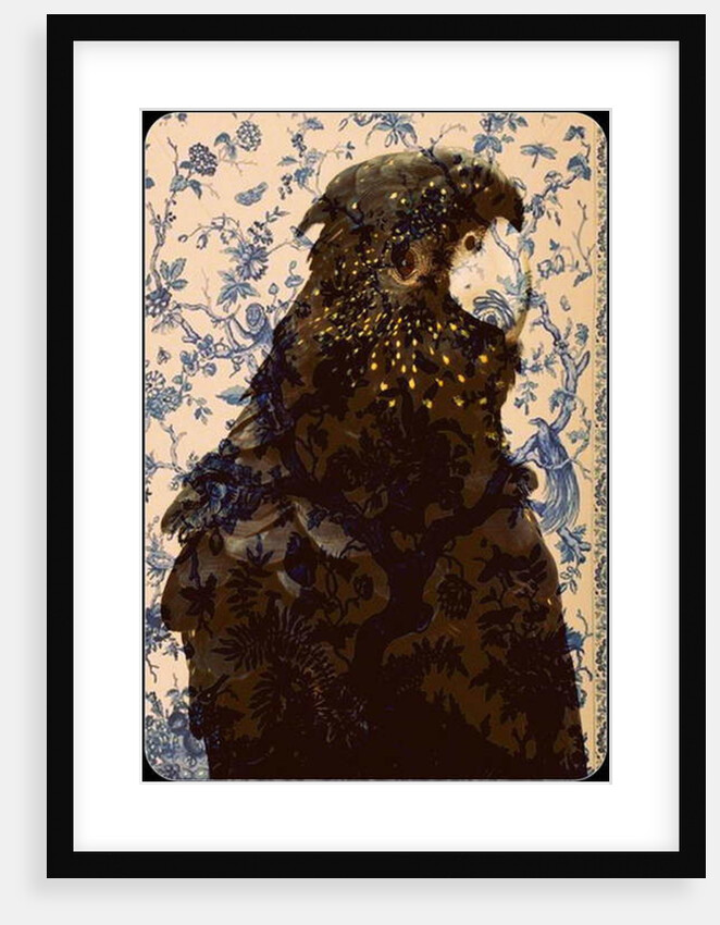Black parrot 2, 2017 by Linda Arthurs