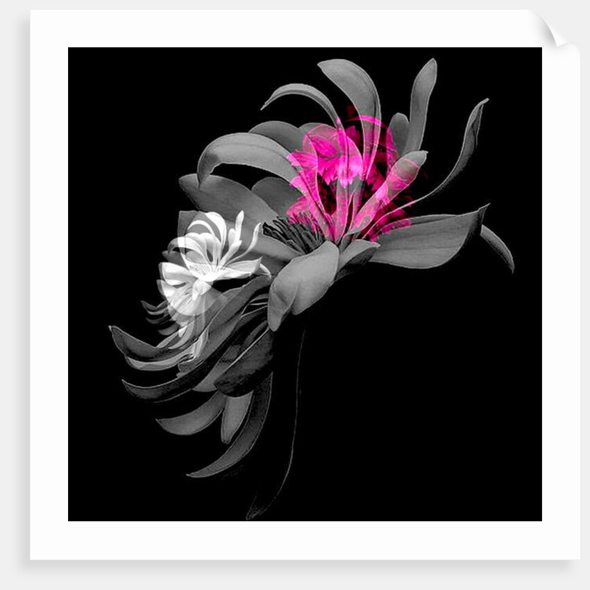 SPRING FLOWER COLLAGE, 2018 by Linda Arthurs