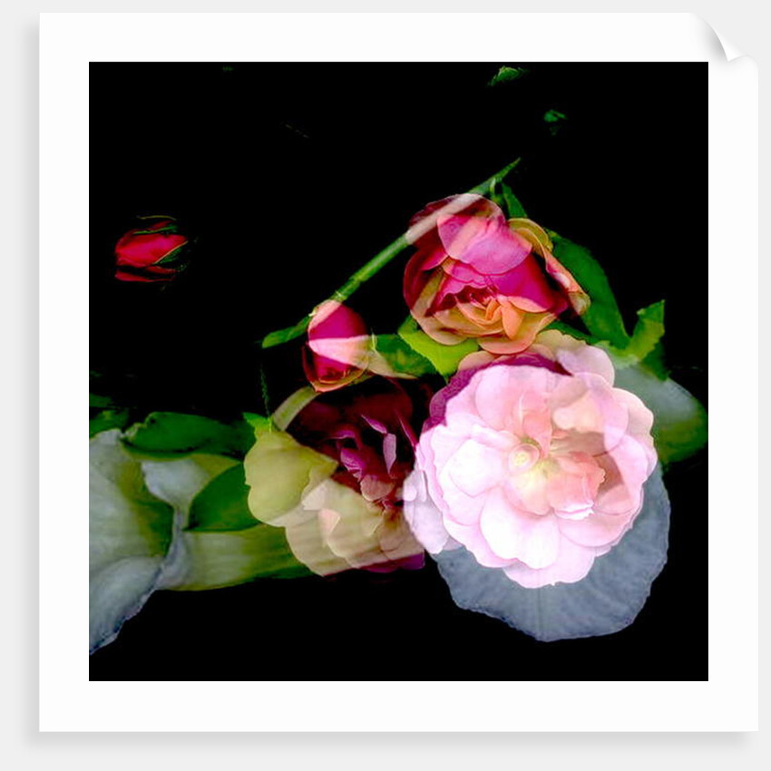 MY MUM'S FLOWER, 2017 by Linda Arthurs