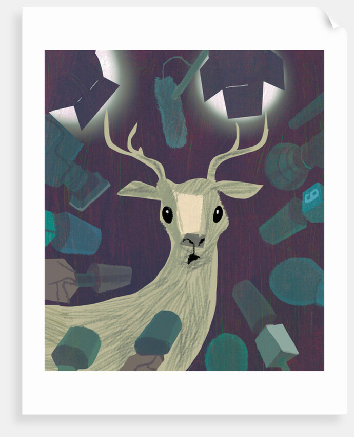 In the spotlight, 2017 by A.Richard Allen