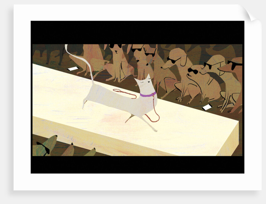 Catwalk, 2016 by A.Richard Allen