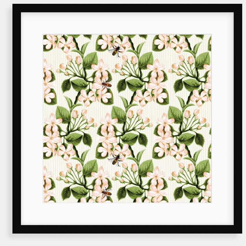 Crab Apple Blossom and Honey Bee, 2017 by Andrew Watson