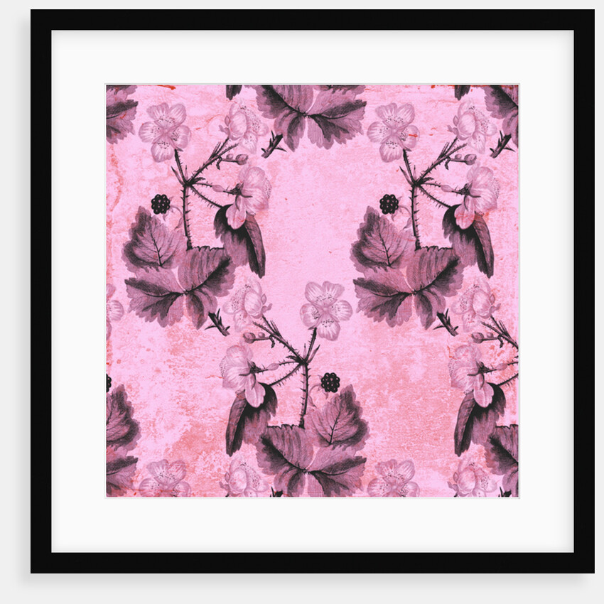 Blackberry Floral, 2017 by Andrew Watson