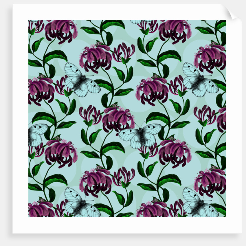 Honeysuckle with Clouded Apollo Butterfly, 2017 by Andrew Watson