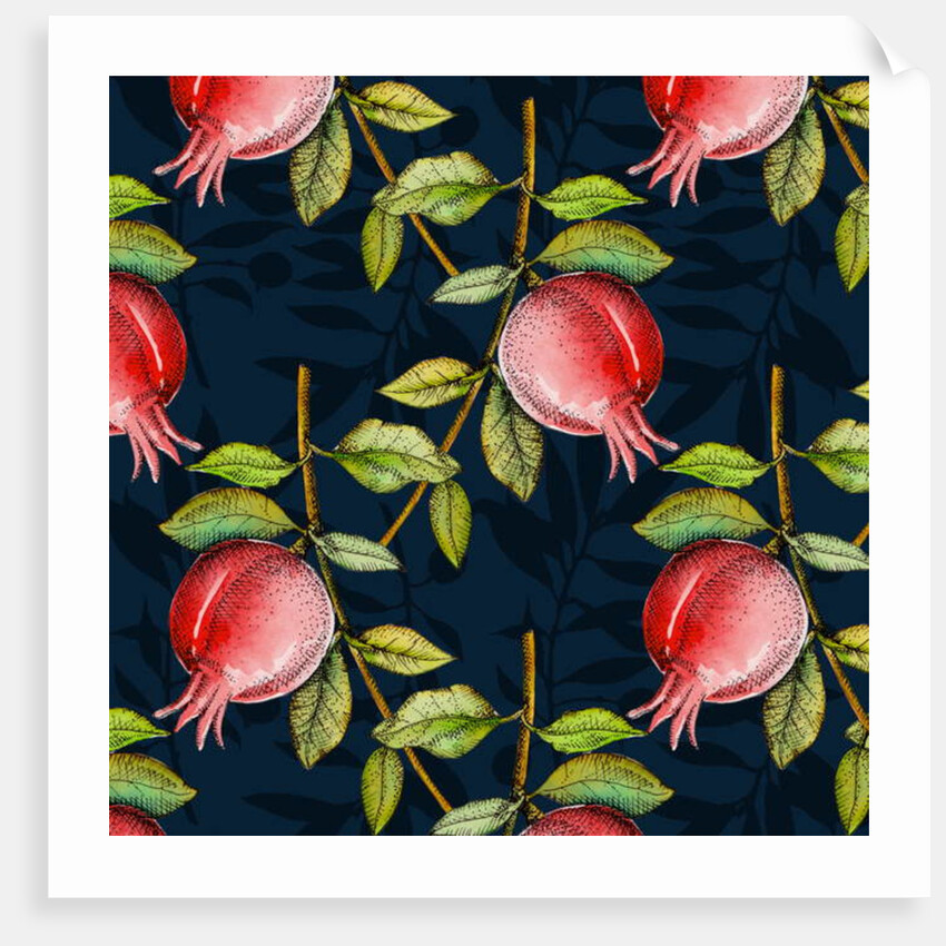 Andalucian Pomegranates, 2017 by Andrew Watson