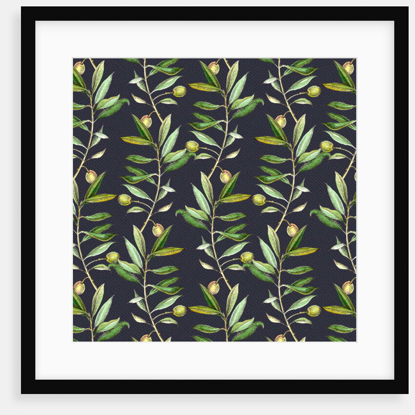 Olive branches, 2017 by Andrew Watson