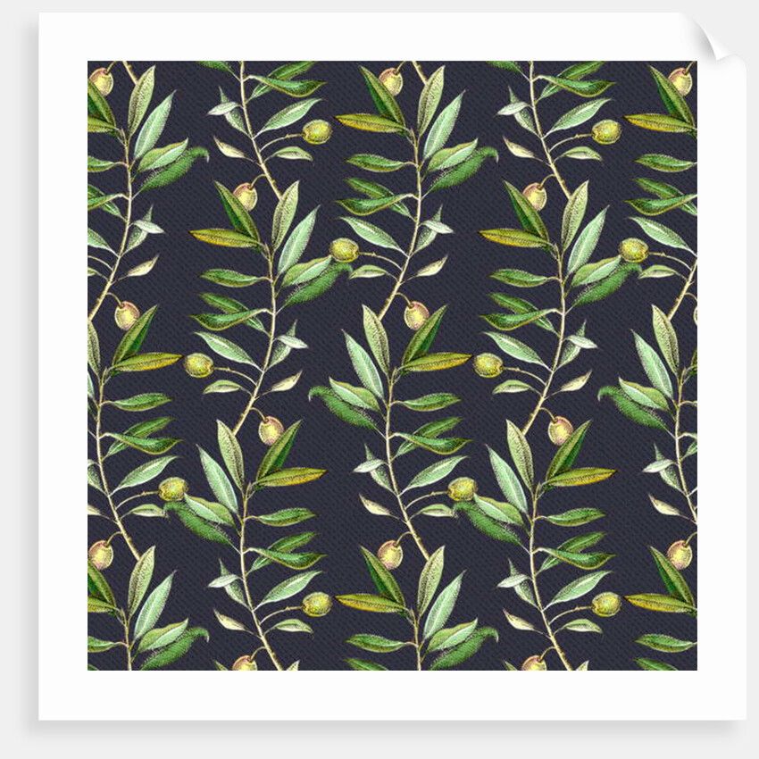 Olive branches, 2017 by Andrew Watson