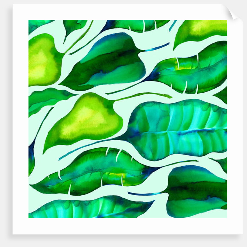Tropical leaves, 2018 by Andrew Watson