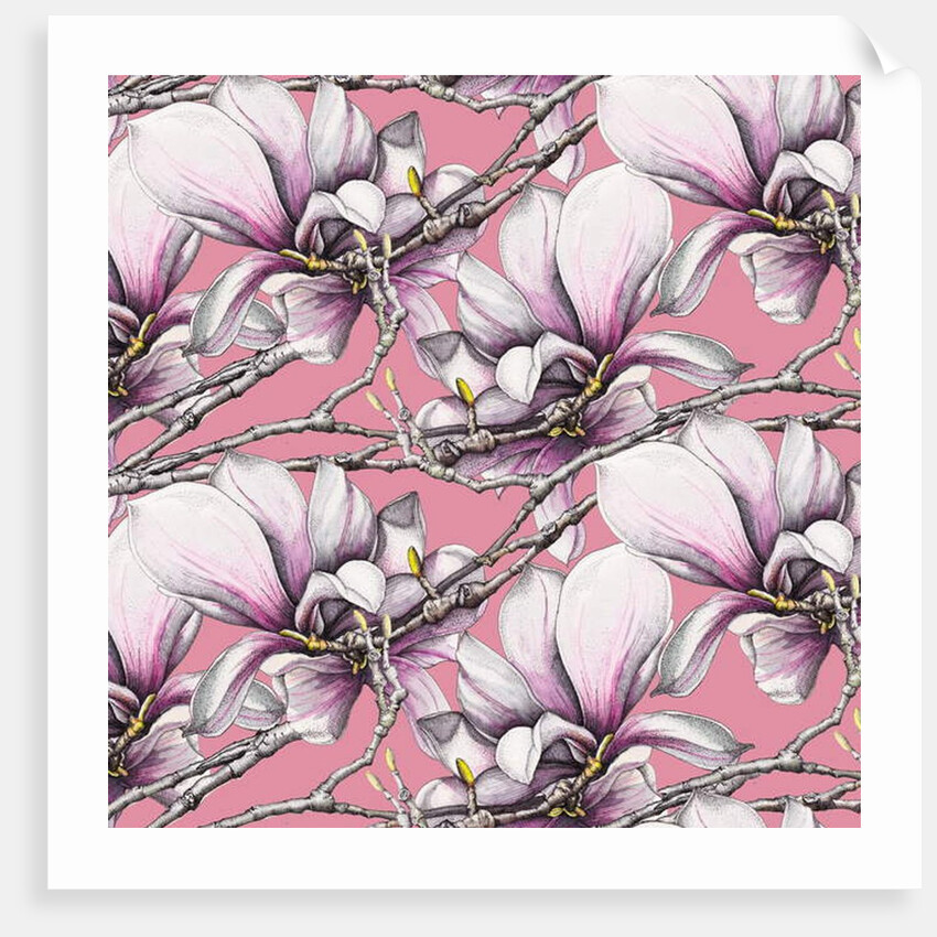 Magnolia, 2019 by Andrew Watson