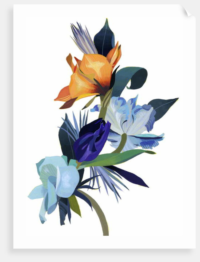 Light blue flowers and orange flowers by Hiroyuki Izutsu