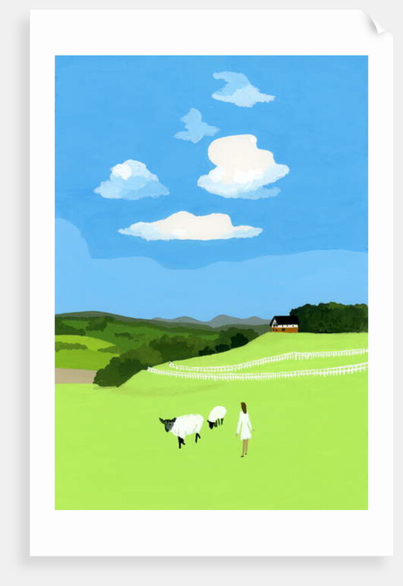 Prairie and sheep, 2017 by Hiroyuki Izutsu